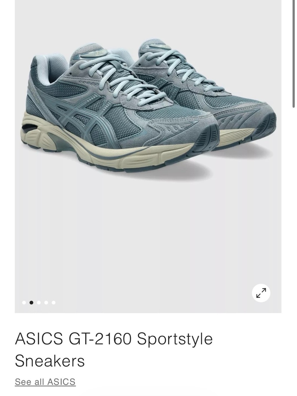 Asics Light Gray Mesh Running Shoes